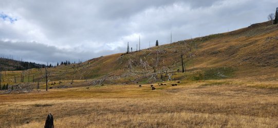 20240917_091726.jpg 20240917_091726.jpg