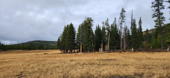 20240917_134914.jpg 20240917_134914.jpg