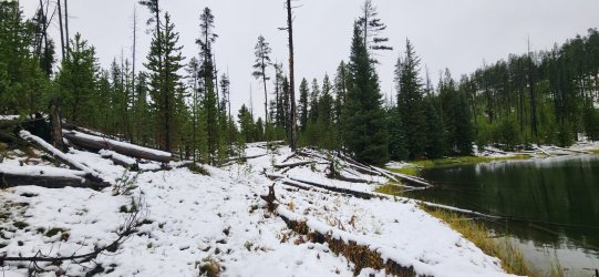 20240918_104926.jpg 20240918_104926.jpg