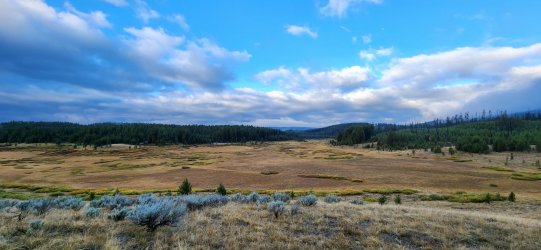 20240919_075515.jpg 20240919_075515.jpg