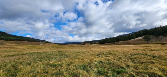 20240919_095150.jpg 20240919_095150.jpg