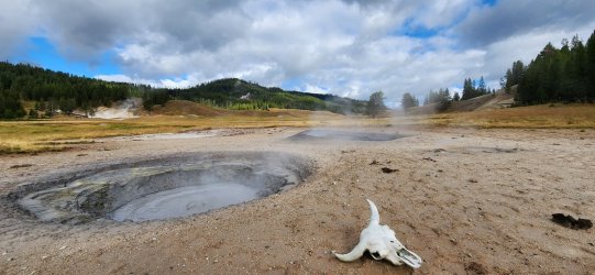 20240919_095554.jpg 20240919_095554.jpg