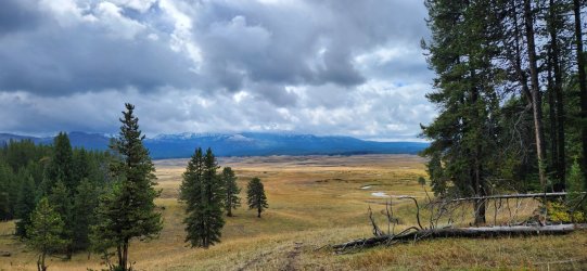 20240919_105343.jpg 20240919_105343.jpg