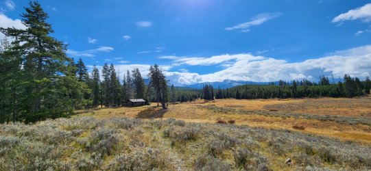 20240919_115231.jpg 20240919_115231.jpg