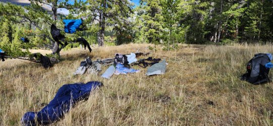 20240919_144602.jpg 20240919_144602.jpg