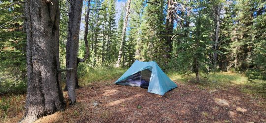 20240919_161644.jpg 20240919_161644.jpg