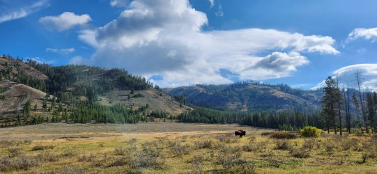 20240920_100239.jpg 20240920_100239.jpg