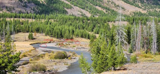 20240920_103742 - Copy.jpg 20240920_103742 - Copy.jpg