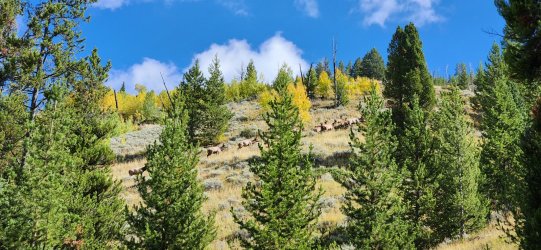 20240920_113506.jpg 20240920_113506.jpg