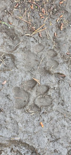 20240920_124240.jpg 20240920_124240.jpg