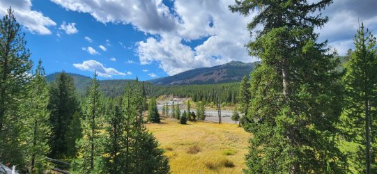 20240920_124845.jpg 20240920_124845.jpg