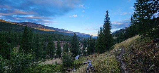 20240921_072939(0).jpg 20240921_072939(0).jpg