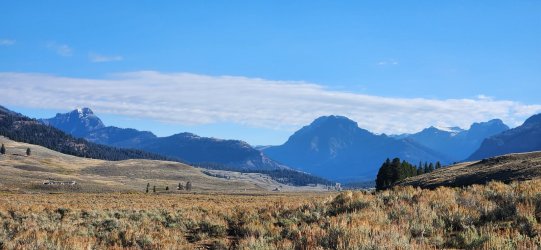 20240921_090936.jpg 20240921_090936.jpg