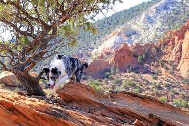 20240423_12666 adjust 2048.jpg