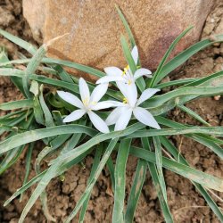 20250427_143719 - Copy.jpg