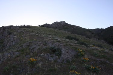 09.jpg 09.jpg