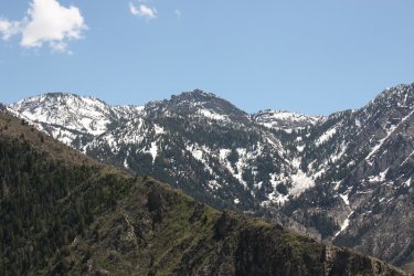 58.jpg 58.jpg
