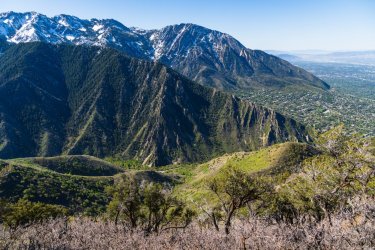 Dragontail 5-25-05943.jpg