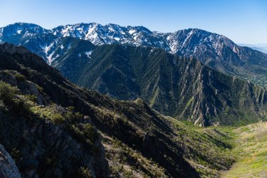 Dragontail 5-25-05964.jpg