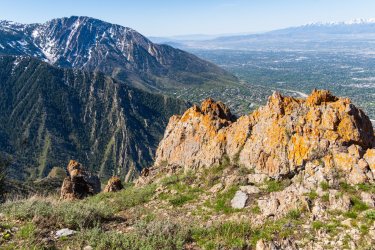 Dragontail 5-25-05975.jpg