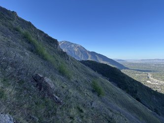 IMG_1943.jpg