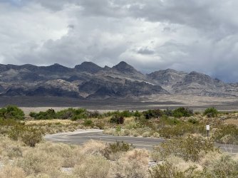 IMG_2044.jpg