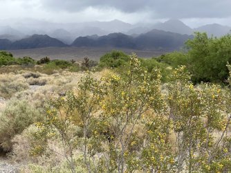 IMG_2011.jpg