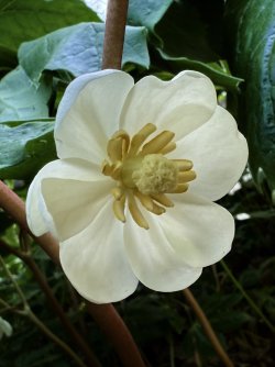 IMG_9274.jpeg