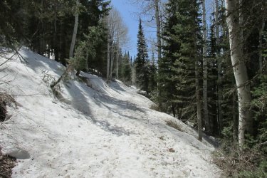 04.jpg 04.jpg