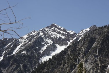 06.jpg 06.jpg