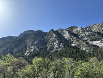IMG_2081.jpg