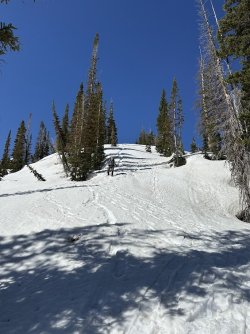 IMG_2188.jpg