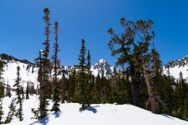 Pfiefferhorny 5-2025-05992.jpg