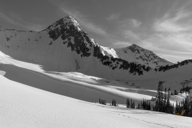 Pfiefferhorny 5-2025-06008-2.jpg