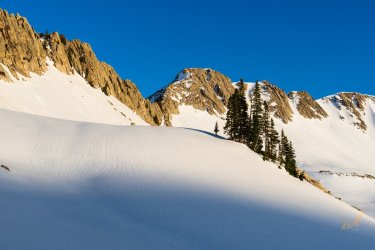 Pfiefferhorny 5-2025-06022.jpg