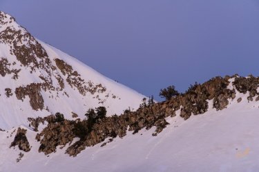 Pfiefferhorny 5-2025-06047.jpg