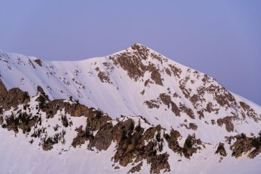 Pfiefferhorny 5-2025-06049.jpg