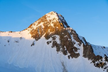 Pfiefferhorny 5-2025-06055.jpg