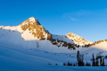 Pfiefferhorny 5-2025-06067.jpg