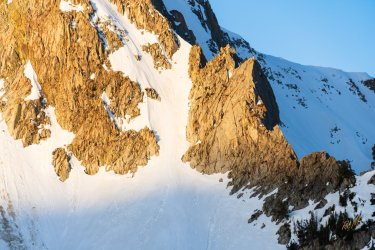 Pfiefferhorny 5-2025-06076.jpg