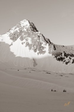 Pfiefferhorny 5-2025-06079-2.jpg