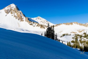 Pfiefferhorny 5-2025-06082.jpg