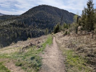 PXL_20250510_161115771.jpg PXL_20250510_161115771.jpg