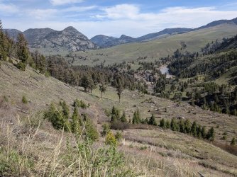 PXL_20250510_161408474.jpg PXL_20250510_161408474.jpg