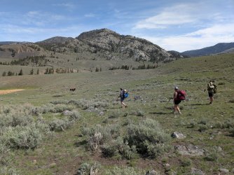 PXL_20250510_165257038.jpg PXL_20250510_165257038.jpg