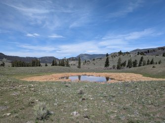 PXL_20250510_165556842.jpg PXL_20250510_165556842.jpg