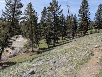 PXL_20250510_180728610.jpg PXL_20250510_180728610.jpg