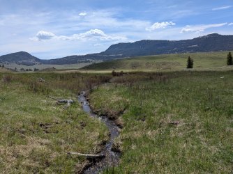 PXL_20250510_191009106.MP.jpg PXL_20250510_191009106.MP.jpg