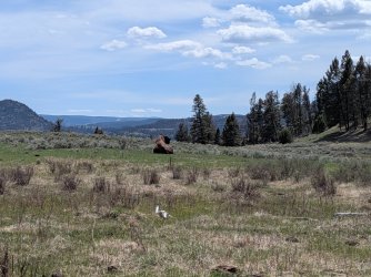 PXL_20250510_193636606.jpg PXL_20250510_193636606.jpg