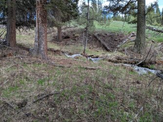 PXL_20250510_204602473.jpg PXL_20250510_204602473.jpg